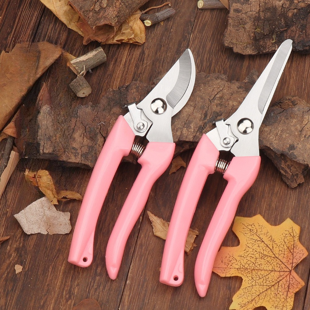 2 Pack Flower Scissors(Pink),  - Pinking Shear Blade recensie en prijs
