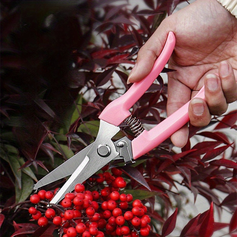 2 Pack Flower Scissors(Pink),  - Pinking Shear Blade recensie en prijs