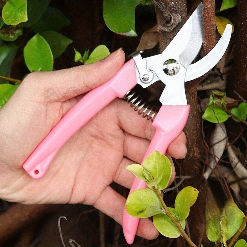 2 Pack Flower Scissors(Pink),  - Pinking Shear Blade recensie en prijs